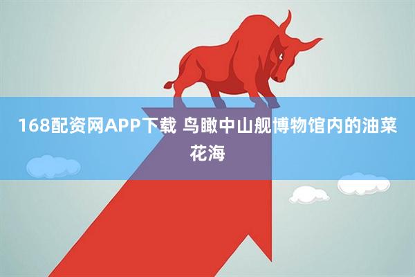168配资网APP下载 鸟瞰中山舰博物馆内的油菜花海