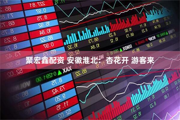 聚宏鑫配资 安徽淮北：杏花开 游客来