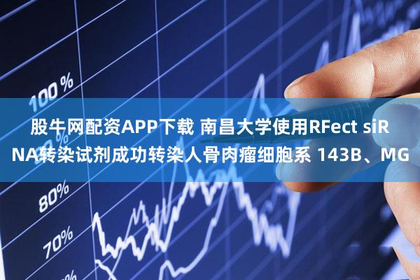 股牛网配资APP下载 南昌大学使用RFect siRNA转染试剂成功转染人骨肉瘤细胞系 143B、MG